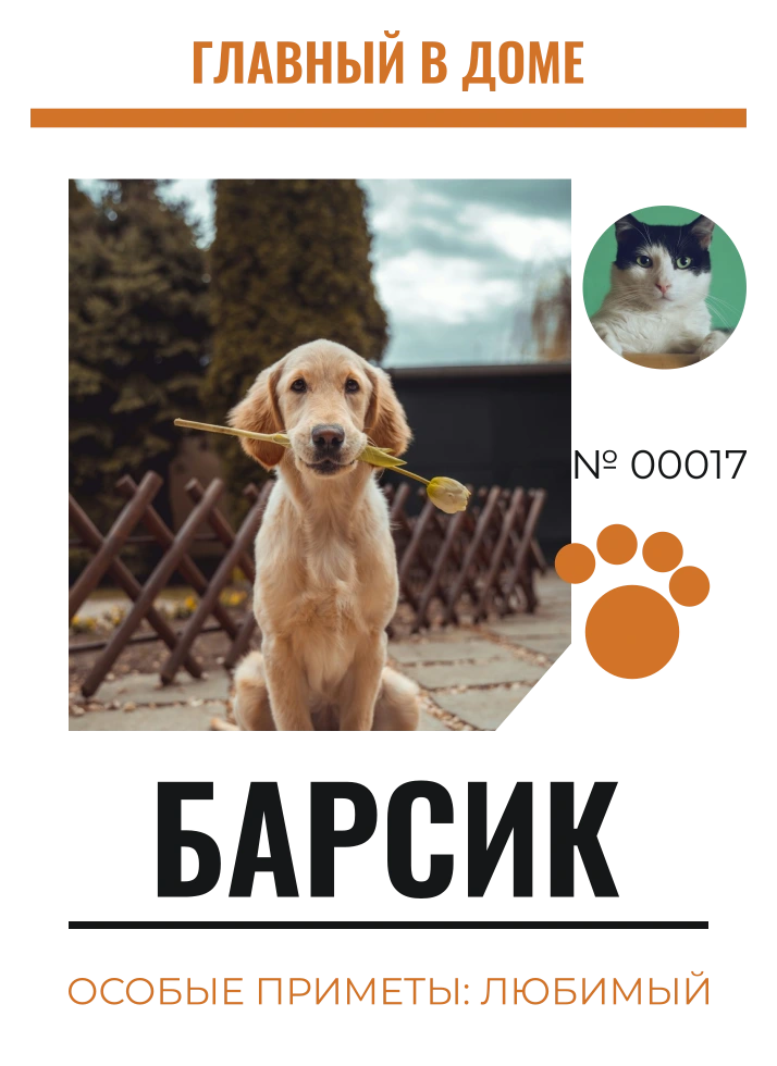 Домашний паспорт — шаблон для футболки