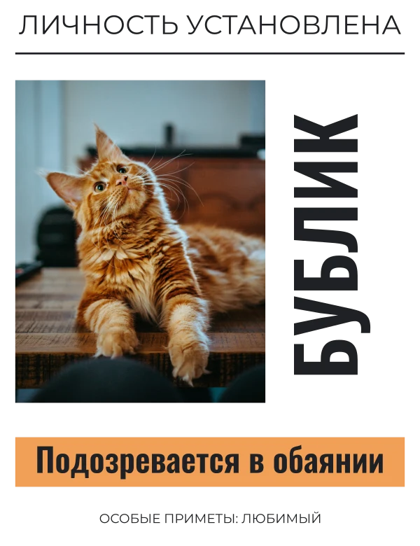 Личное дело питомца