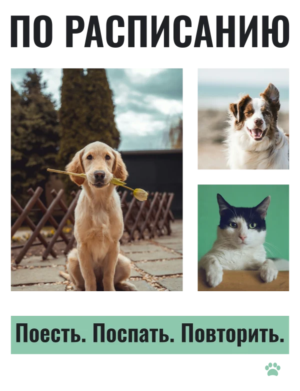 День из жизни