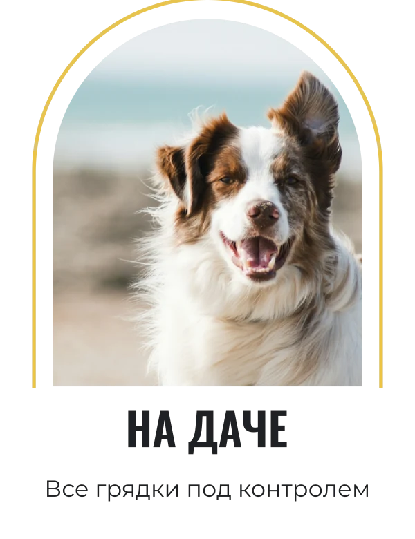 Садовый наблюдатель
