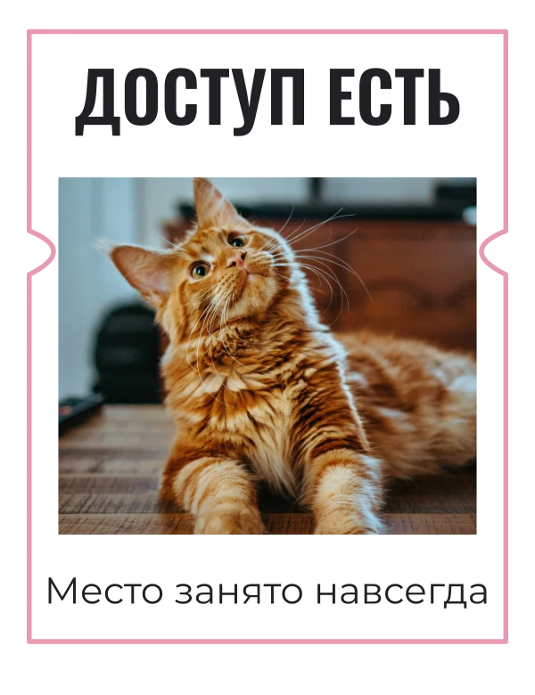 Пропуск к дивану