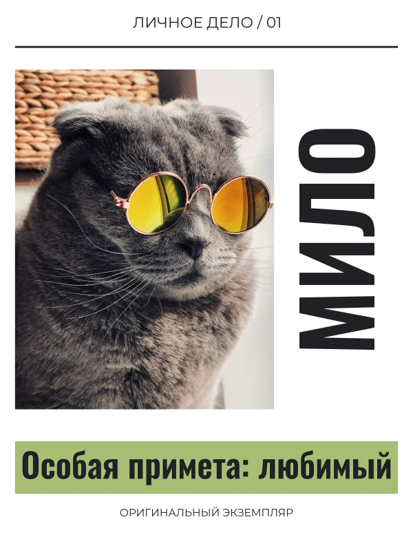 Паспорт любимца