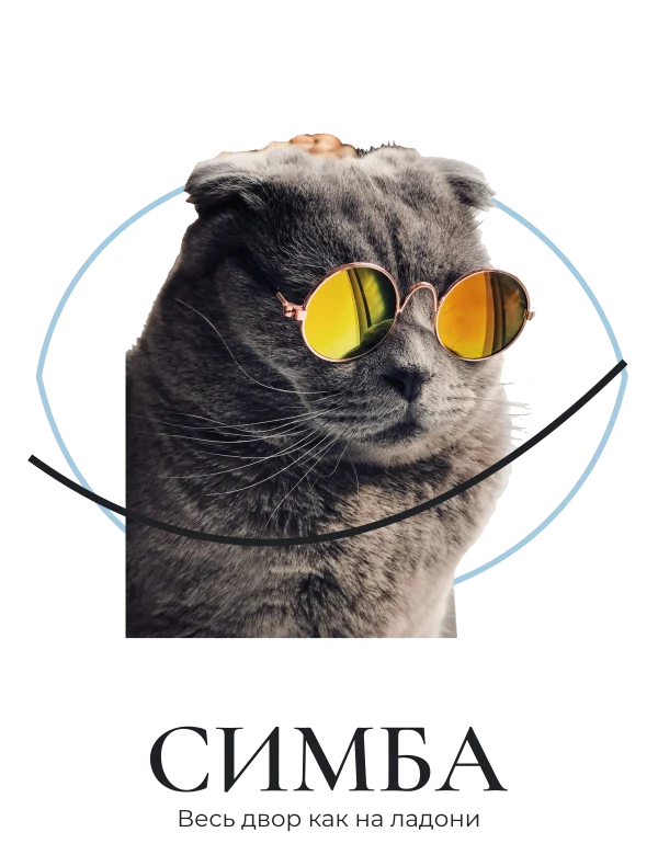 Король подоконника