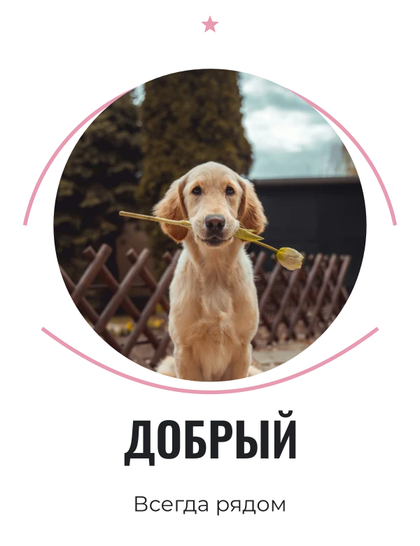 Портрет доброты