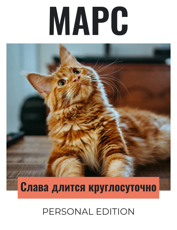 Пять минут славы