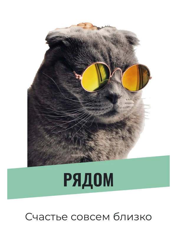 Тёплый нос