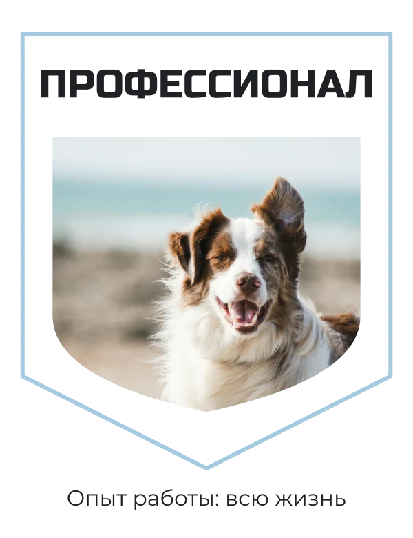 Почётный мурчатель