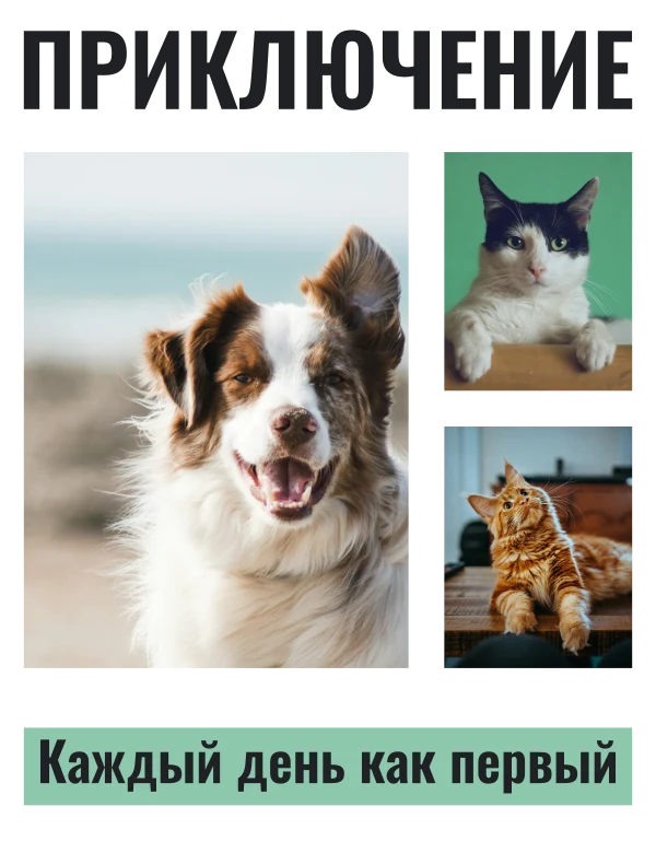 Приключения хвоста