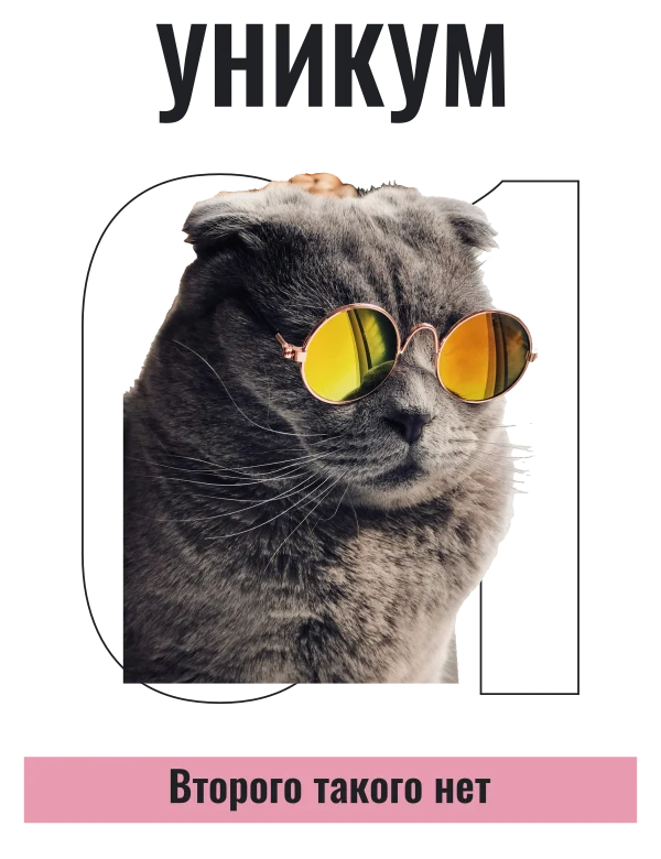 Необычный экземпляр