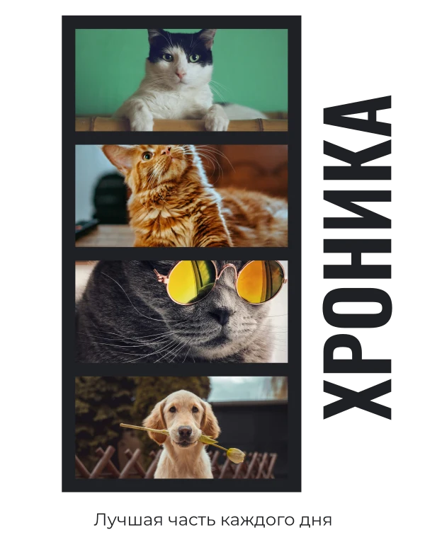 Кадры одного хвоста