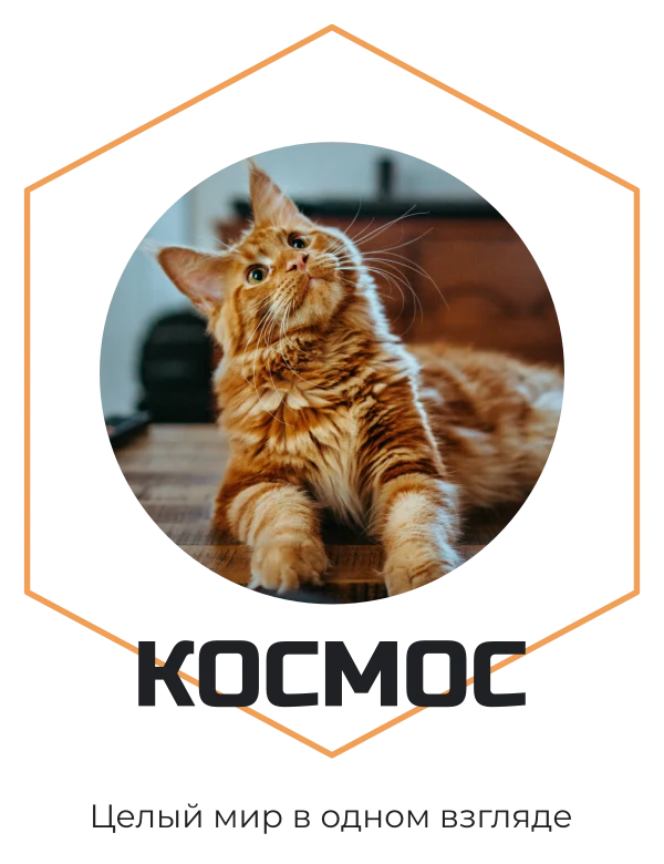 Наш маленький космос