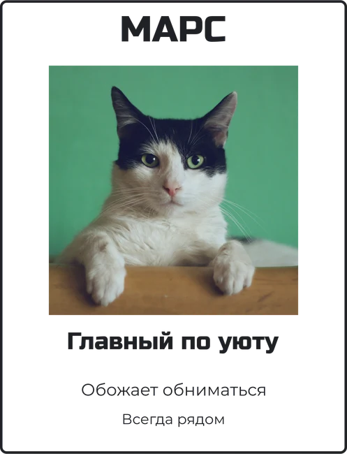 Паспорт любимца